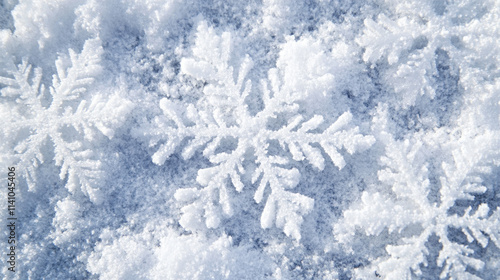 close up of detailed snowflakes on fresh snow with frosty winter texture and icy patterns  
 photo