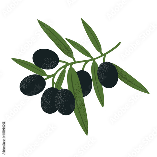 Olive branch with black olives and green leaves. Perfect for Mediterranean food designs, natural themes, and cooking illustrations. Flat vector style, isolated on white background.