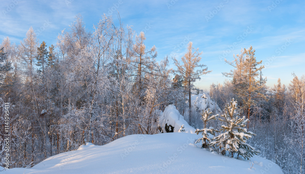 Magnificent snow-covered forest on the mountain, bright rays of sunset illuminate the treetops and snow. Magnificent snow-covered forest on the mountain, bright rays of sunset illuminate the treetops and snow.