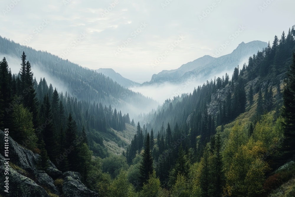 A mountain range with a forest in the foreground A mountain range with a forest in the foreground