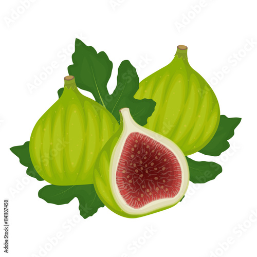 Vector Illustration Logo Clipart Fresh Green Figs Fruits
