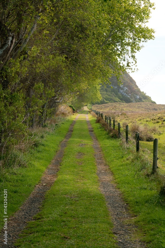 Long Dirt Road with Fenced Meadows on Both Sides, Rural Countryside Path Long Dirt Road with Fenced Meadows on Both Sides, Rural Countryside Path