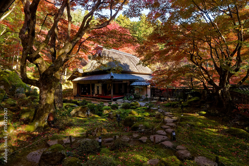 紅葉に包まれた教林坊の書院 紅葉に包まれた教林坊の書院