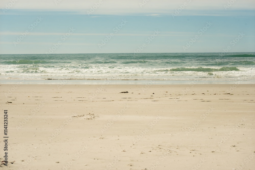 Victory Beach on a Sunny Day, Scenic Coastal Beauty in New Zealand Victory Beach on a Sunny Day, Scenic Coastal Beauty in New Zealand
