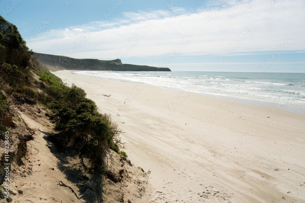 Victory Beach on a Sunny Day, Scenic Coastal Beauty in New Zealand