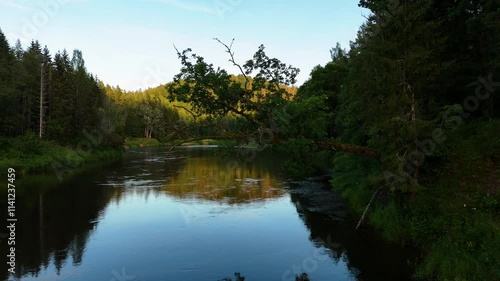 Panoramic drone flow low at Gauja River at sunset reflected water into hidden woods landscape, quiet location photo