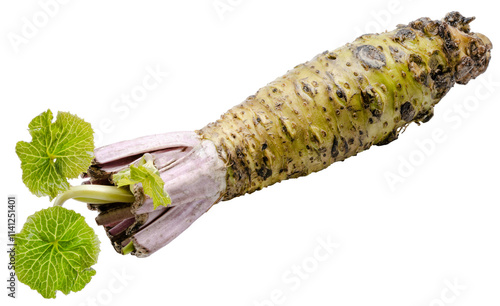 Fresh Japanese Wasabi root isolated on white background. Spice Wasabi root on white background PNG File.. photo