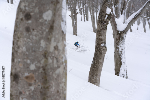 山スキー　ツリーラン photo