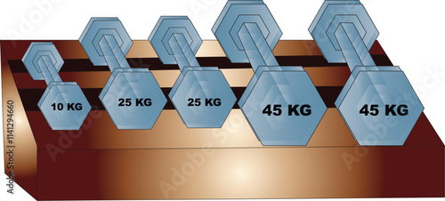 5 dumbbells of different sizes that are placed on a shelf without legs. 