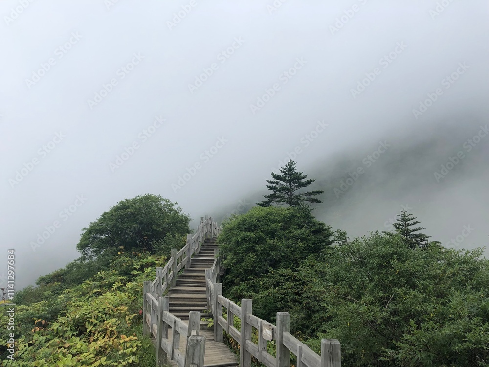 Fototapeta premium stairway to the sky