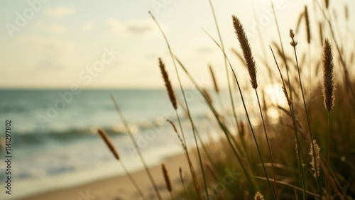 Golden Grass Beach View