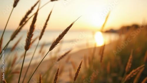 Golden Hour Grassland