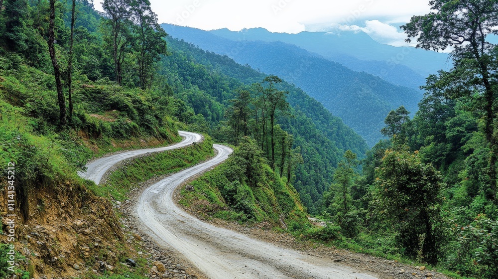 Serene Winding Road Through Dense Mountain Forests Serene Winding Road Through Dense Mountain Forests