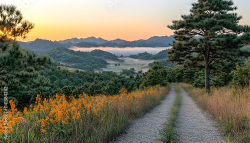 Sunrise over misty Ozark mountain valley, gravel road, wildflowers, travel brochure.