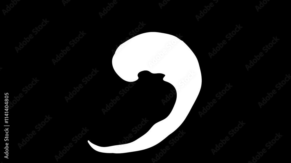 White Splash Element Animation Video blowing in a curve White Splash Element Animation Video blowing in a curve