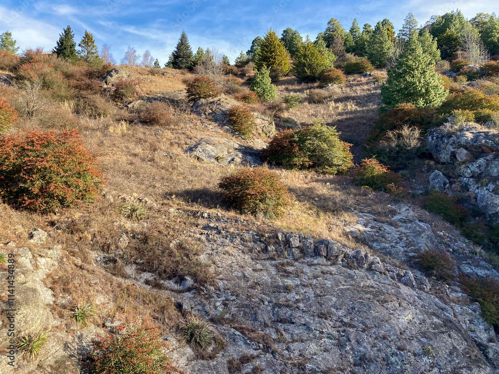 Stony path on the mountainside on a sunny winter day. Stony path on the mountainside on a sunny winter day.