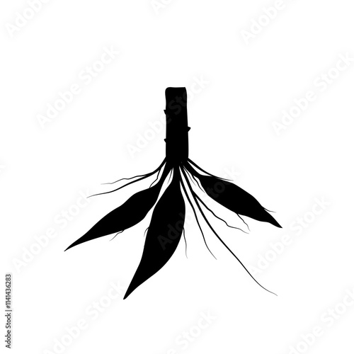 cassava root silhouette