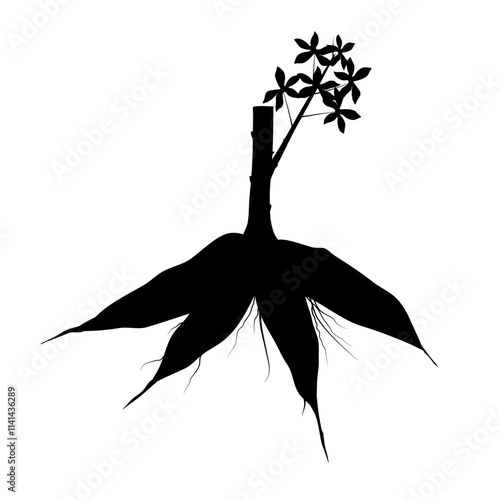 cassava root silhouette