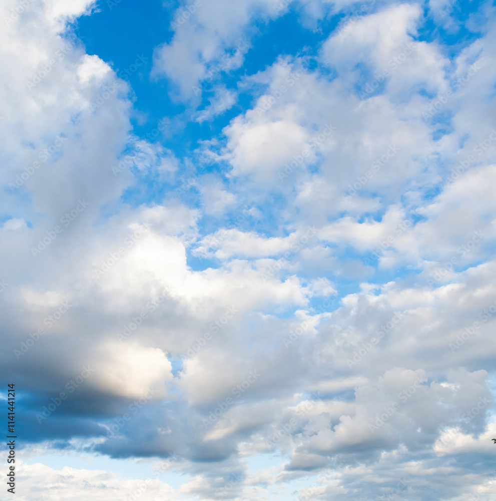 Naklejka premium Background with cloud. Blue sky with white clouds. Skyscape and cloudscape. Sky with clouds. Cloudy skyscape background. Cloudscape sky background. Cloud in the sky. Weather concept