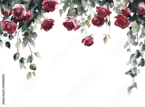 Fototapeta Naklejka Na Ścianę i Meble -  PNG Hanging roses watercolor flowers border.
