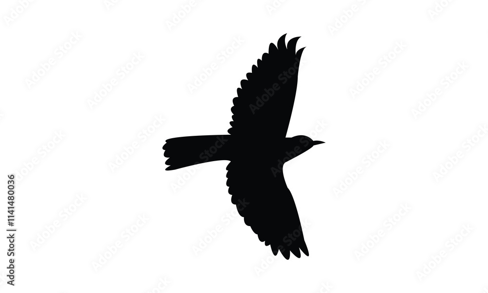 Naklejka premium Flying Thrush Bird Silhouette Design And Vector Illustration. 