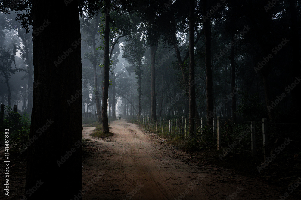 Fototapeta premium Silent Passage