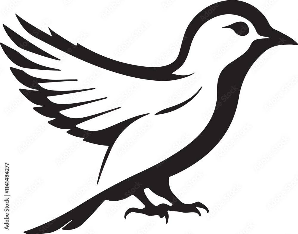 Fototapeta premium dove