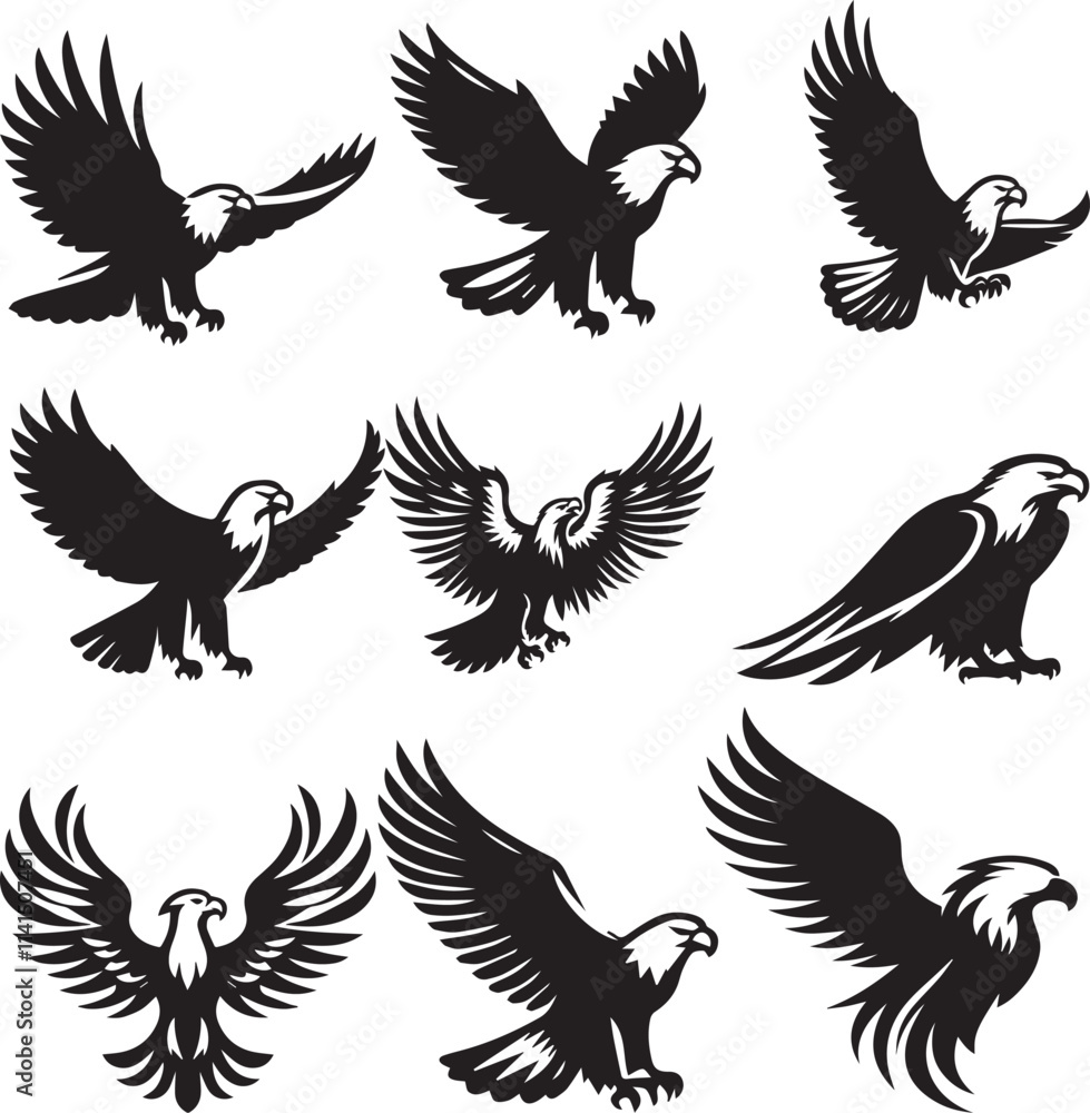 Fototapeta premium Majestic Eagle Of Silhouette Design
