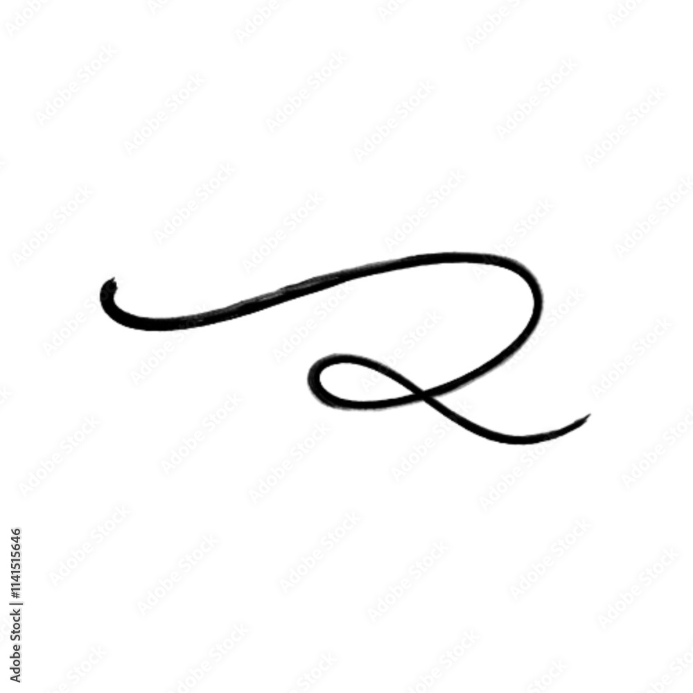 Swashes swoops and swishes calligraphy sign. Underline hand drawn stroke. Vector symbol Swashes swoops and swishes calligraphy sign. Underline hand drawn stroke. Vector symbol
