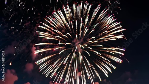 Colorful fireworks light up the night sky during local celebration in a vibrant display of patterns and colors