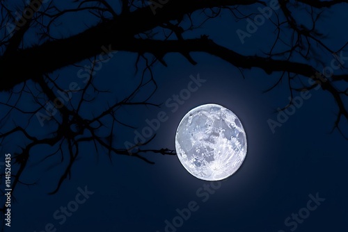 40 full moon through bare winter branches