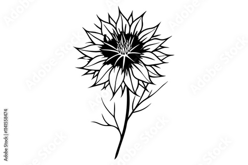 Wallpaper Mural Love-in-a-Mist Silhouette Line Drawing Botanical Beauty Simplified Torontodigital.ca