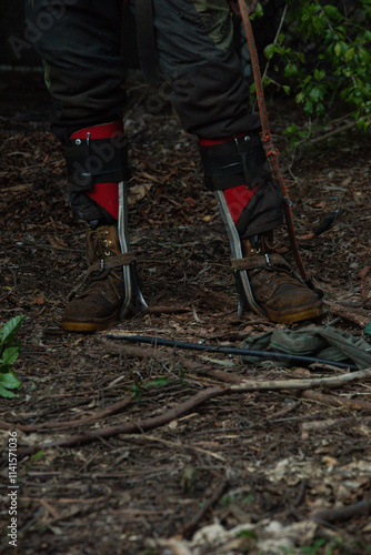 Tree loppers specialize boots for climbing