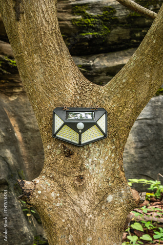 Solar-Powered Outdoor Light Mounted On Tree Trunk