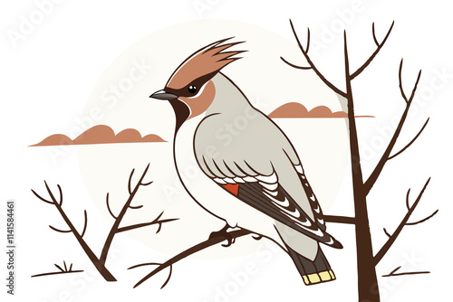 Bohemian Waxwing bird sitting on a single branch photo