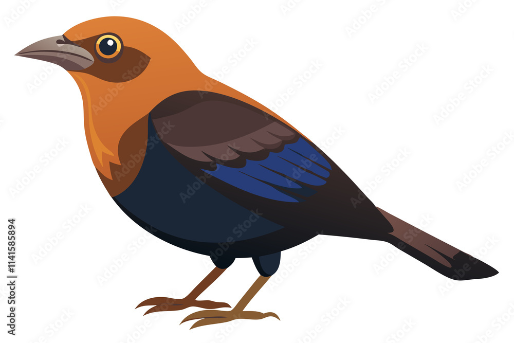 Stunning Brown-Headed Cowbird Illustration - Nature-Inspired Artwork Stunning Brown-Headed Cowbird Illustration - Nature-Inspired Artwork