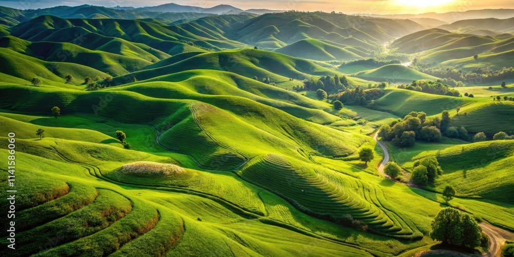 Stunning Drone Photography of Lush Green Grass Hills with Vibrant Textures and Natural Landscapes Ideal for Backgrounds and Illustrations Stunning Drone Photography of Lush Green Grass Hills with Vibrant Textures and Natural Landscapes Ideal for Backgrounds and Illustrations