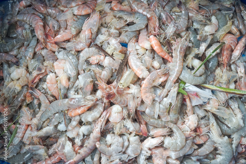 Close-up view of a large pile of rejected low quality shrimp