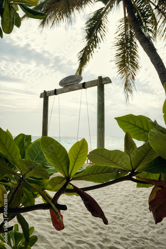 A tree branch with leaves and a swing hanging from it Thulhagiri  maldives photo