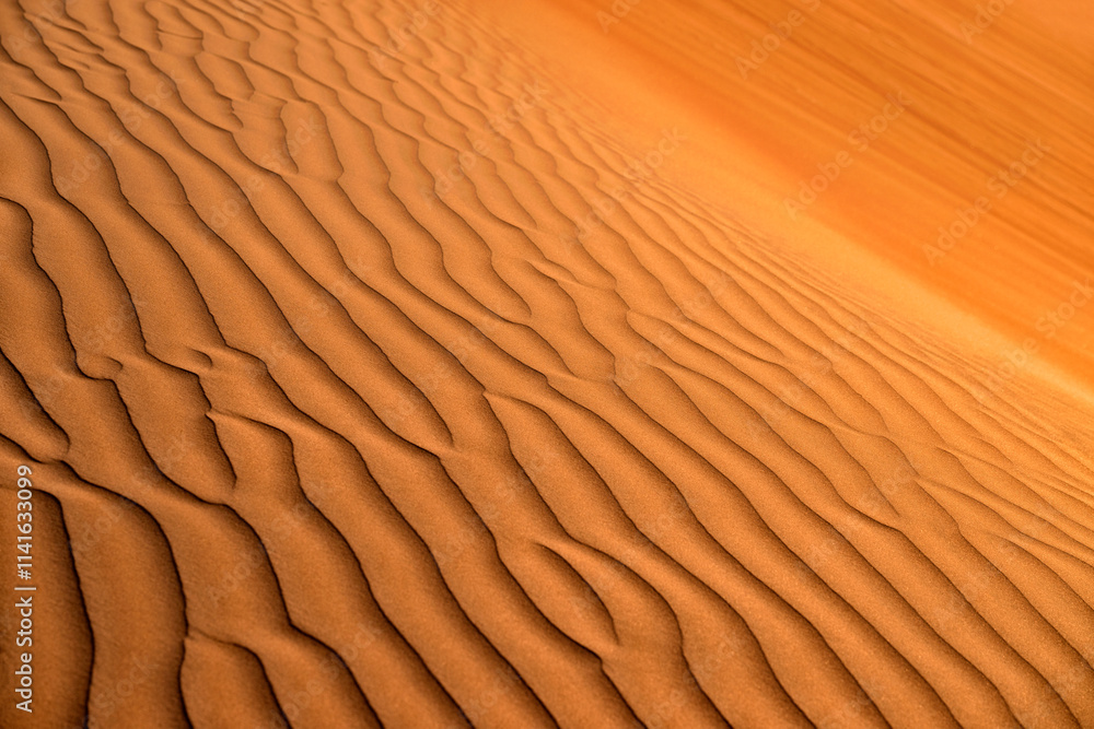 Sand dune texture. Desert Background. Oman, Wahiba Desert Sand dune texture. Desert Background. Oman, Wahiba Desert