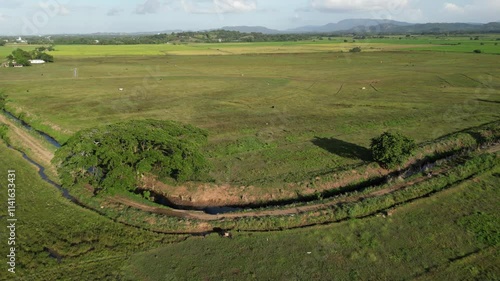 Aerial view of vast rice fields between Jima Arriba and Jima Abajo in the La Vega province located in the Cibao valley in the Dominican Republic photo