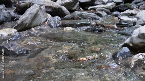 Wallpaper Mural Beautiful water stream view at the forest in Aladaglar, Bolu, Turkey Torontodigital.ca