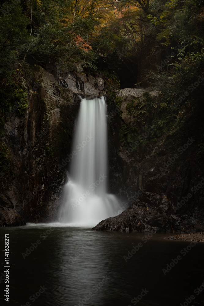Obraz premium 紅葉する森と美しい滝 愛知県