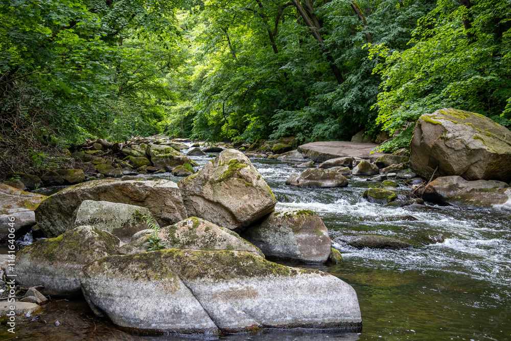 Die Bode Flusslandschaft Erlebnis Bodetal Die Bode Flusslandschaft Erlebnis Bodetal
