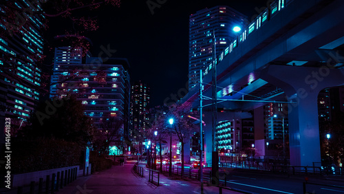 Canvas Print Night Time in Futuristic Cyberpunk Tokyo