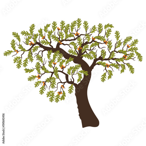 vector drawing tree of white oak with green leaves and acorns isolated at white background, Quercus alba, hand drawn illustration