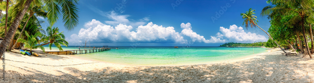Nature landscape tropical beach with palm tree and ocean Nature landscape tropical beach with palm tree and ocean