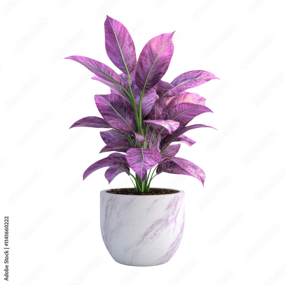 Purple plant, white isolate background Purple plant, white isolate background