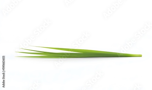 Single green grass blade on a white backdrop.