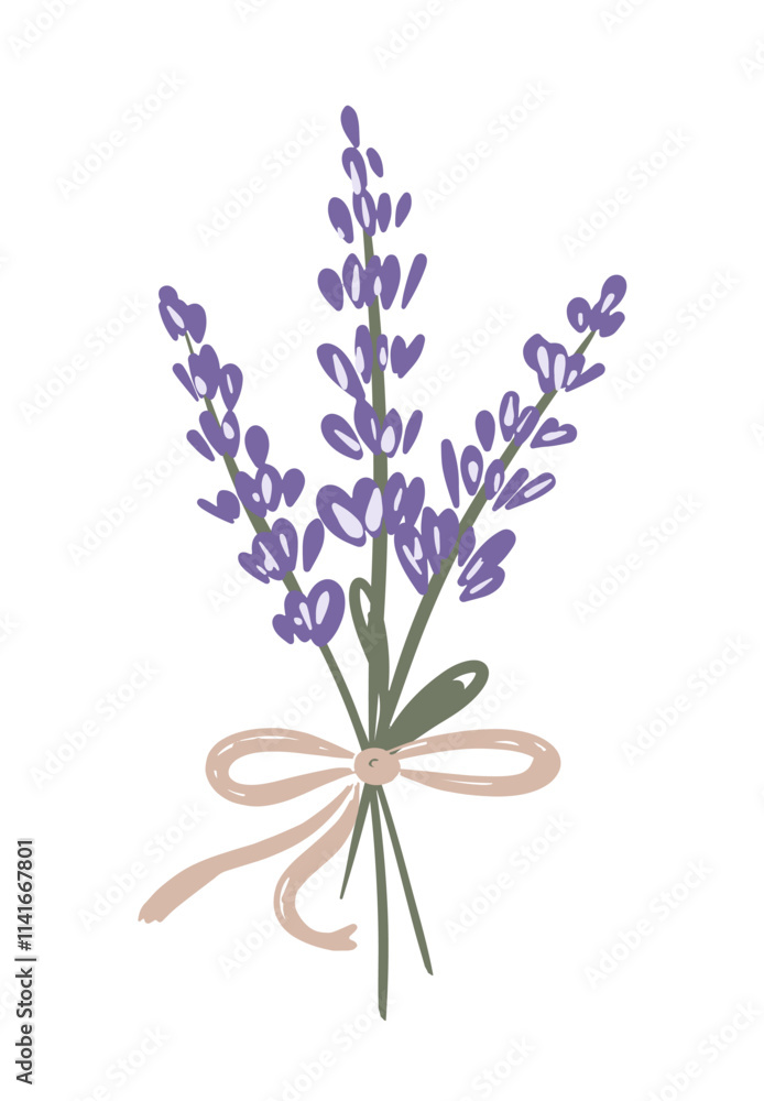 Obraz premium Hand drawn bouquet of lavender flowers tied with a brown ribbon, isolated on white background